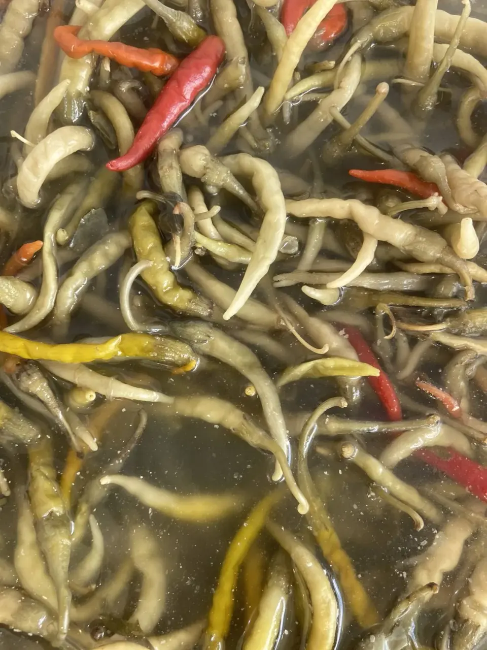عمده وخرده پاستیل و ترشک و نبات چای