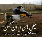 باشگاه سوارکاری ائل گلی آذربایجان (شعبه اصلی)