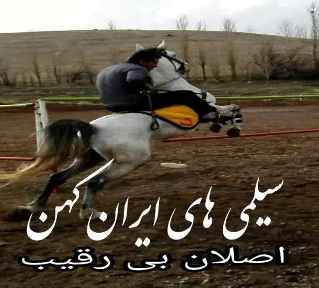 باشگاه سوارکاری ائل گلی آذربایجان (شعبه اصلی)