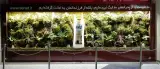 طراحان زیست محیطی پالیز