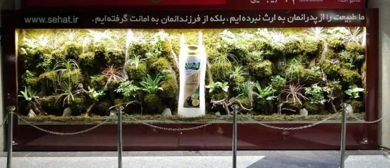 طراحان زیست محیطی پالیز