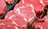 فروش گوشت مرغ و مواد پروتئینی جزیره گوشت در اهواز