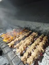 باربیکیوپاتوق