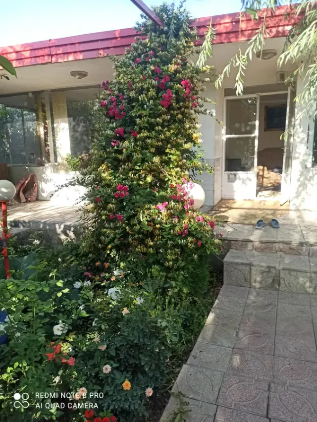 باغ ویلا پیمان