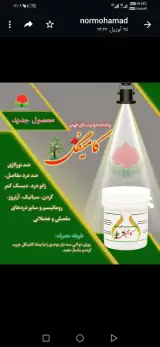 عطاری، نوبهار با مدیریت محمدی