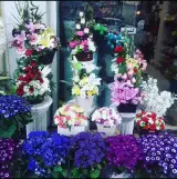 گل فروشی عرشیا در رشت