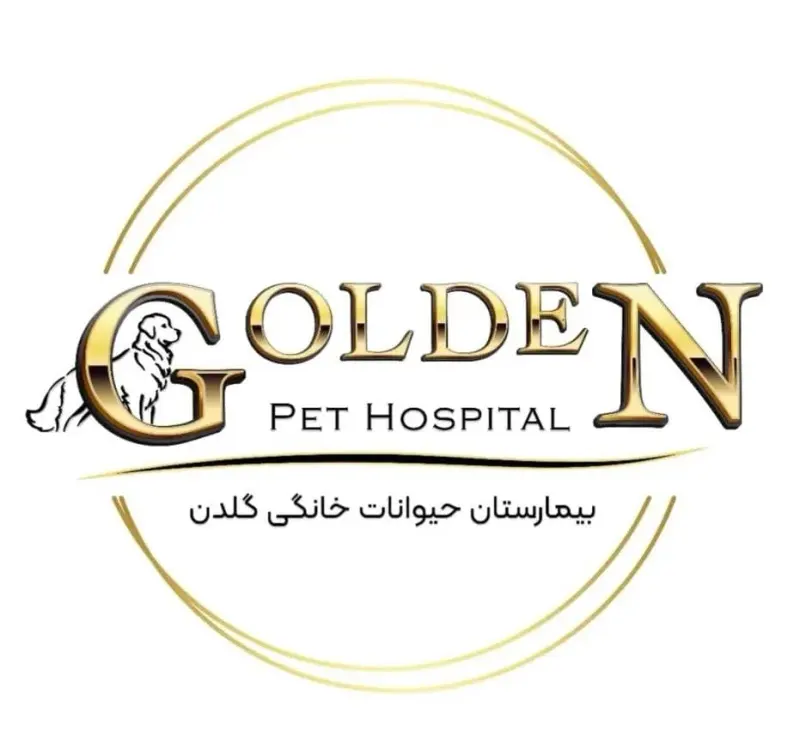 بیمارستان حیوانات خانگی گلدن در تبریز