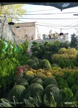 خدمات باغبانی گلکاری محمدی