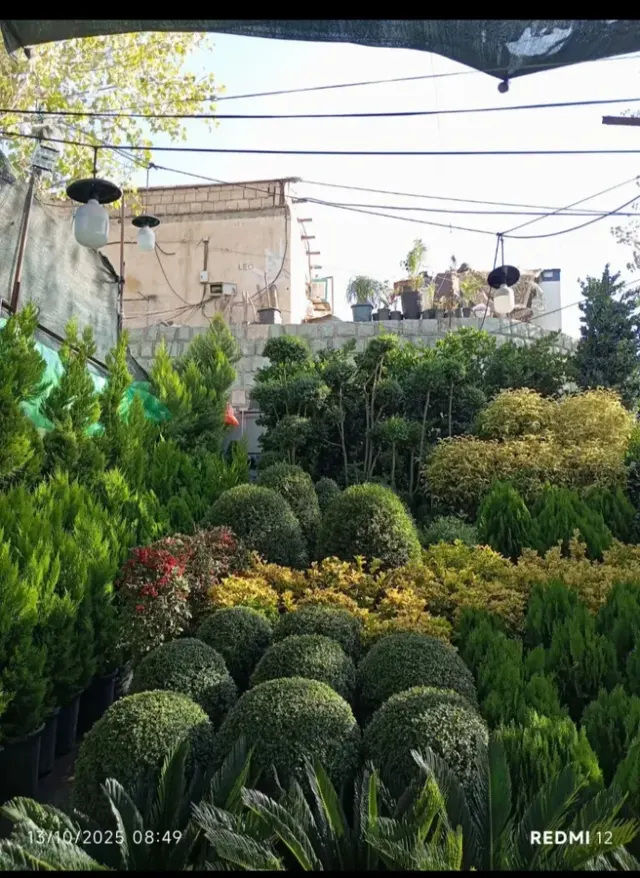 خدمات باغبانی گلکاری محمدی