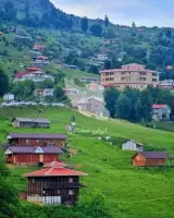 اجاره ویلا جنگلی هادیپور در ماسال