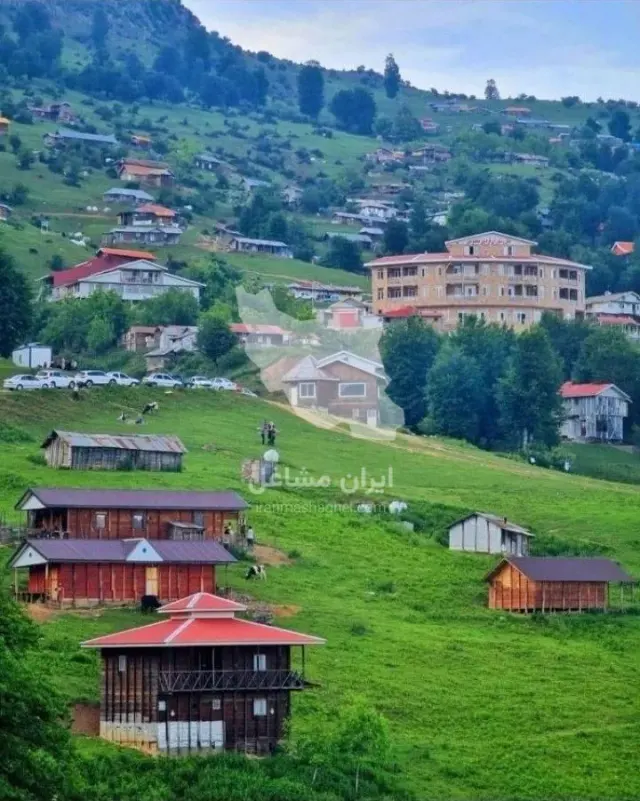 اجاره ویلا جنگلی هادیپور در ماسال