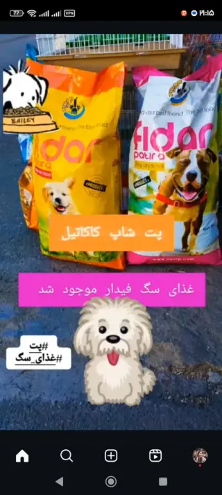 پت شاپ کاکاتیل