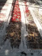 محسن شاملو کاظمی