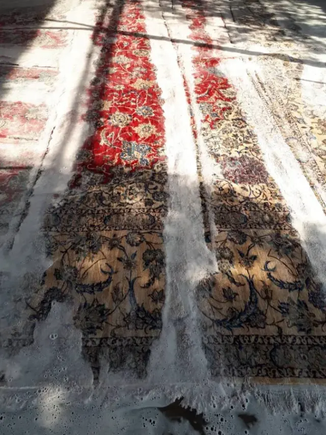 محسن شاملو کاظمی