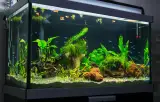 شیشه بری مختاری نژاد