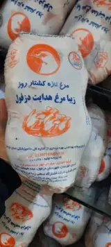 سوپر پروتئین سجاد