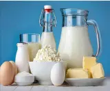 لبنیات تاتلی