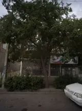 املاک قائم