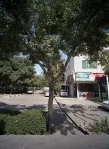 مشاور املاک محمدزاده
