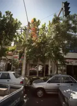 املاک جاوید