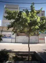 مشاور املاک هروی