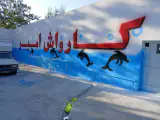 کارواش امیر