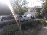 جلوبندی پونک