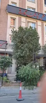 هتل تاوریژ