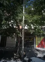 املاک شهر