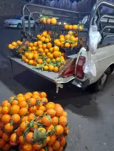 سوپرمارکت ومیوه محمدتاجیک