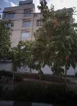 مطب دکتر هاشم جهانبخش