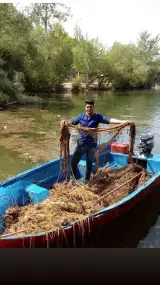 قالیشویی طاها بن