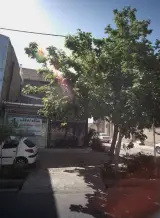 بنگاه املاک عابد اسکندری