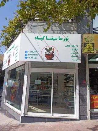 نورسا سپنتا گياه