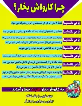 کارواش نانو بخار امنیت