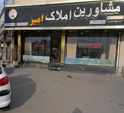 مشاورین املاک امیر
