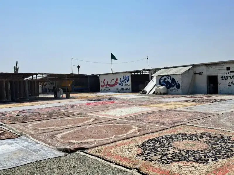 قالیشویی مهدی