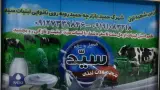 لبنیات سید (بیداد)