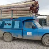 قالیشویی ومبل شویی آریا عضواتحادیه