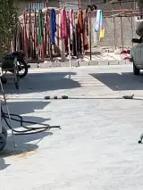 قالیشویی افرندید