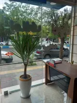 مشاور املاک اوپال