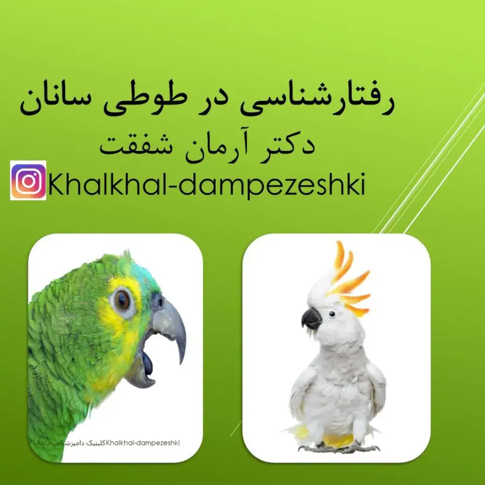 کلینیک دامپزشکی خلخال