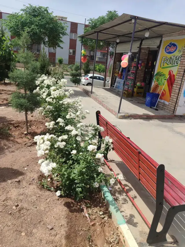 سوپرمارکت محله اردیبهشت امیر