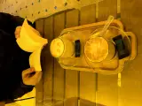 کافه کتاب گیو در یزد