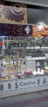 کافه کاکتوس