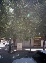 املاک شجاعی