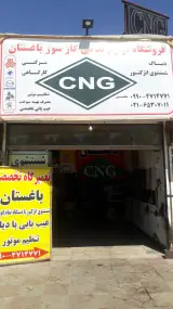 تعمیرگاه سی ان جی خودرو باغستان