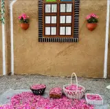 گلستان گل محمدی / کاشان/ قمصر / نیاسر / برزک
