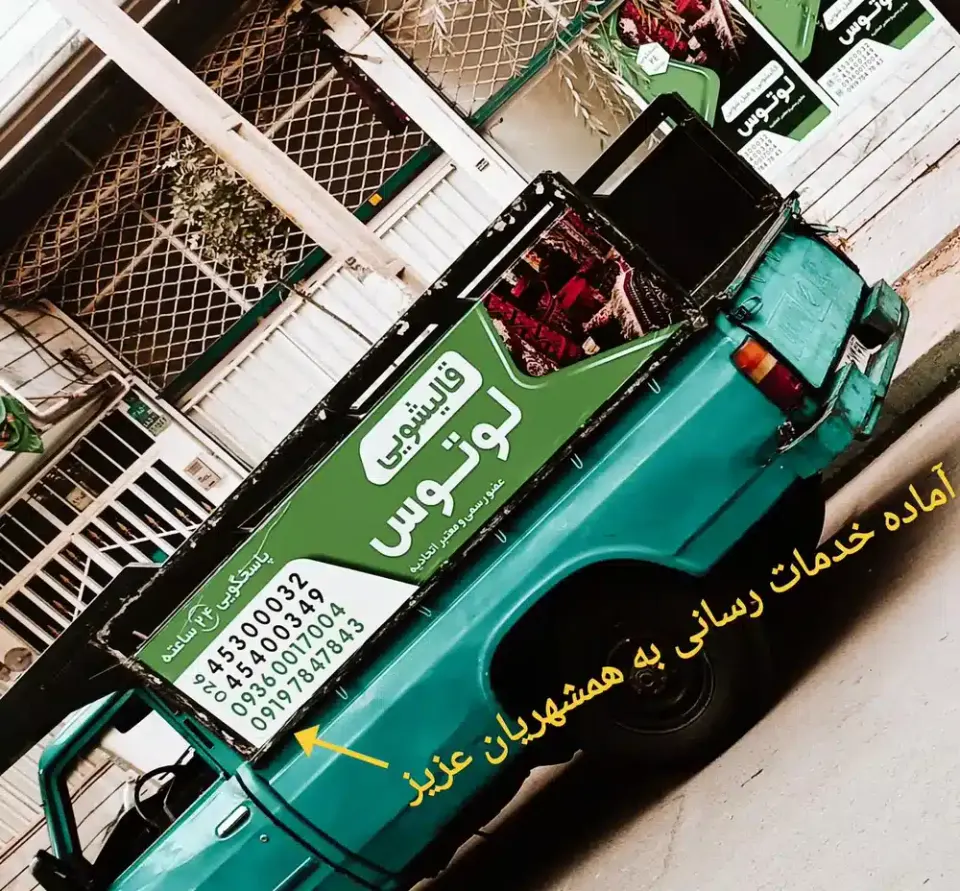 قالیشویی لوتوس