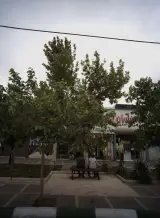 مسکن آریان